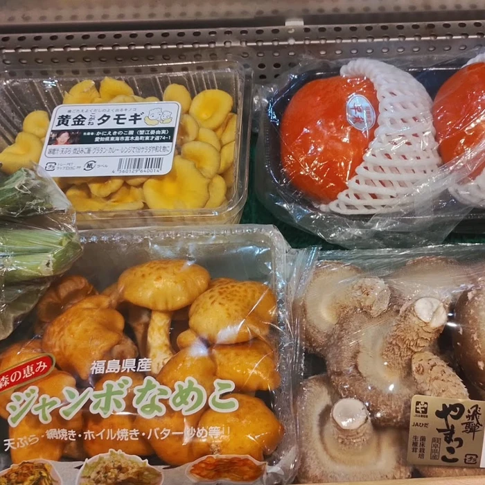 画像1086