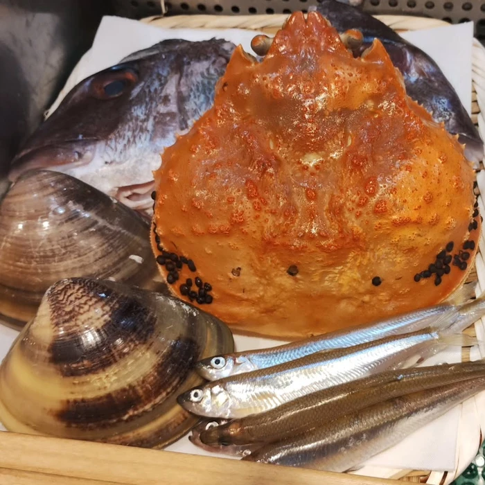 画像1263