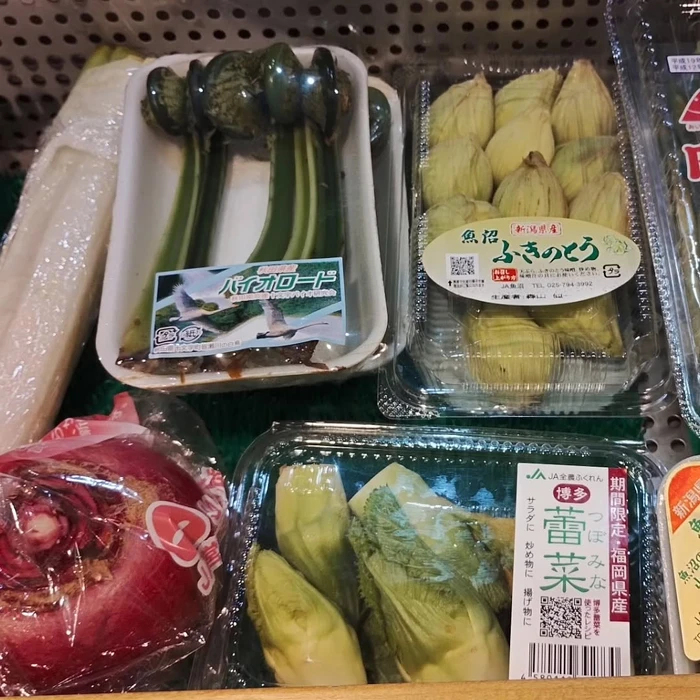 画像1264