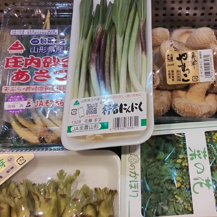 画像1265