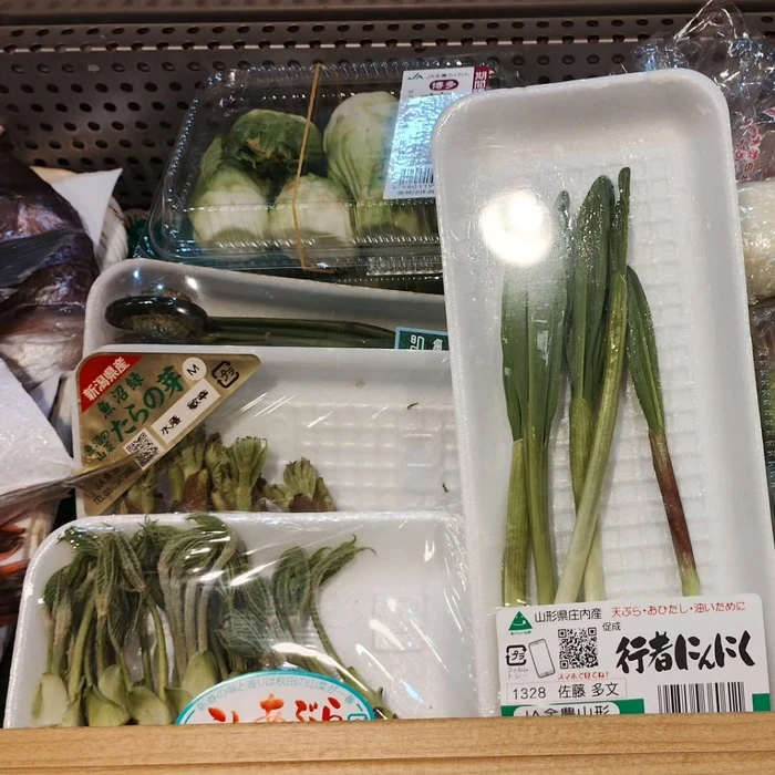 画像1279