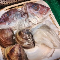 画像1300