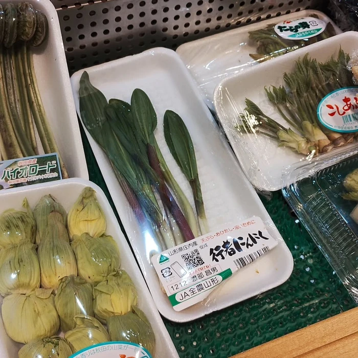 画像1301