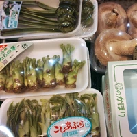 画像1332