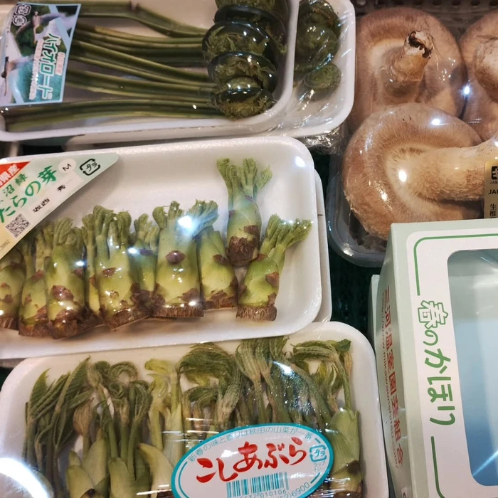画像1332