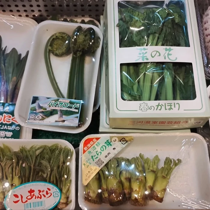 画像1340