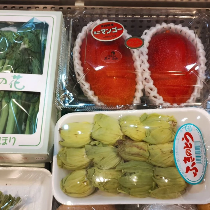 画像1341