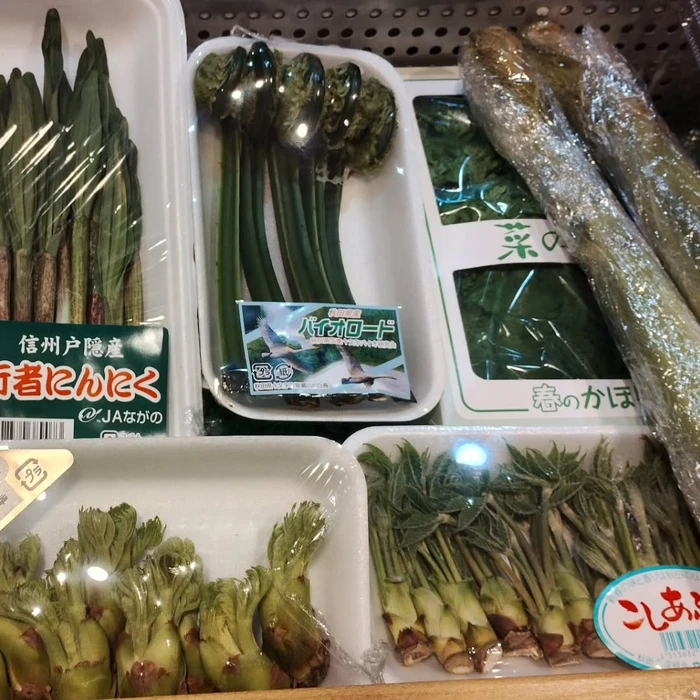 画像1370