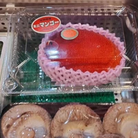 画像1371