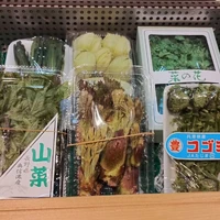 画像1379