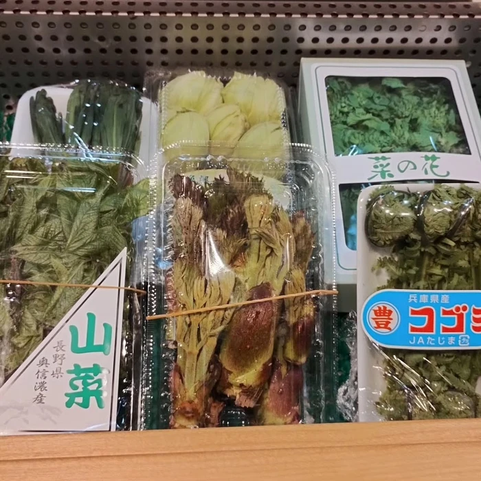 画像1379