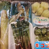 画像1393
