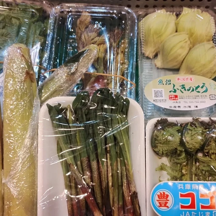 画像1393