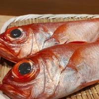画像1425