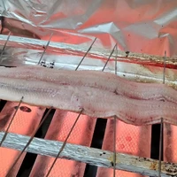 画像1433