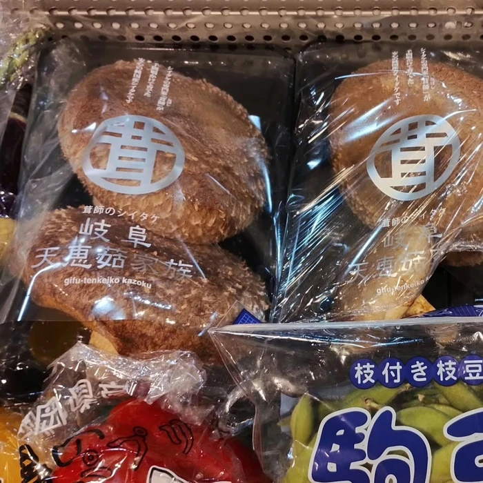 画像1456
