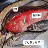 画像1469