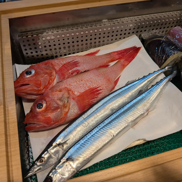 画像1569