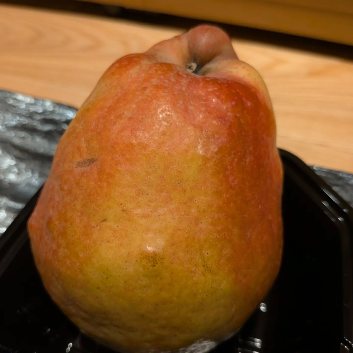 画像1574