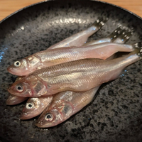 画像1588