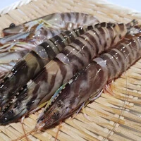画像274