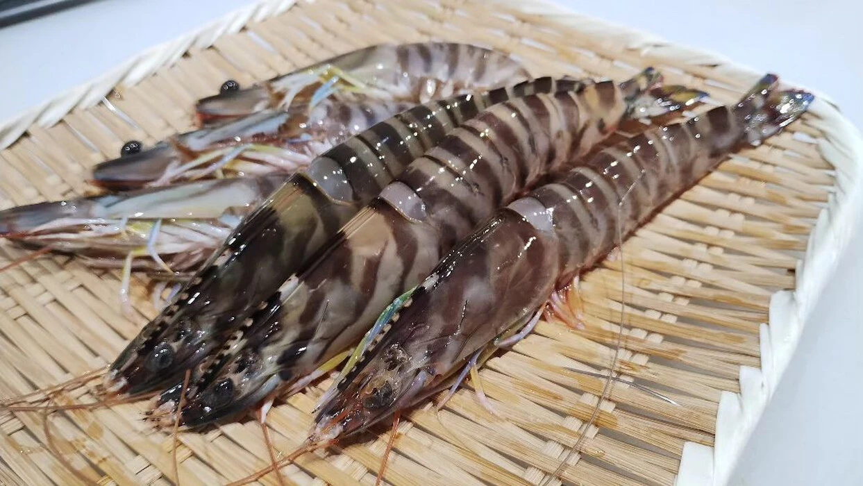 画像274