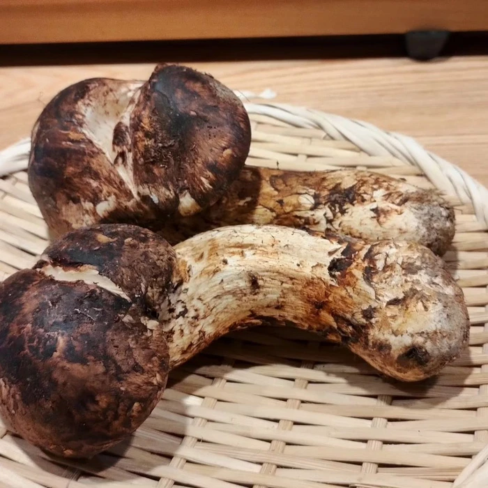 画像284