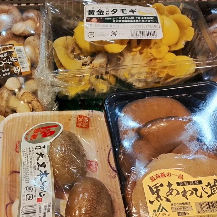 画像286