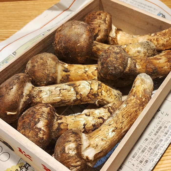 画像343