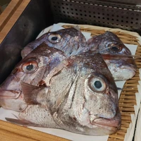 画像362