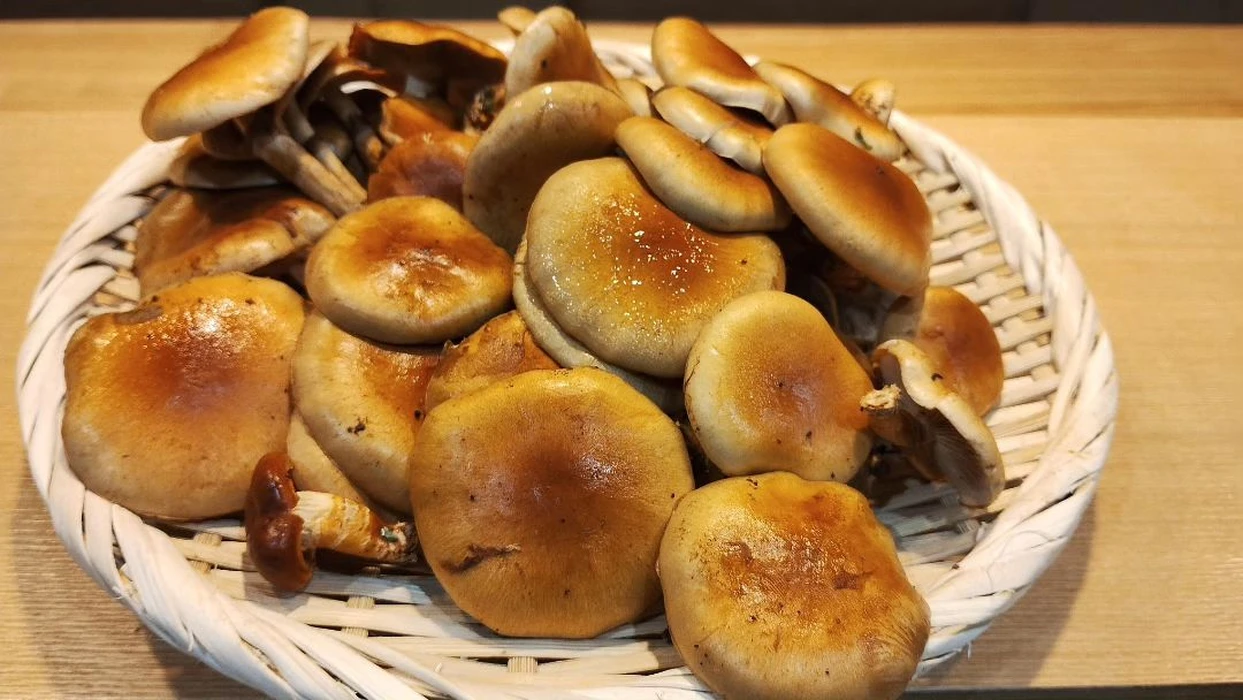 画像378