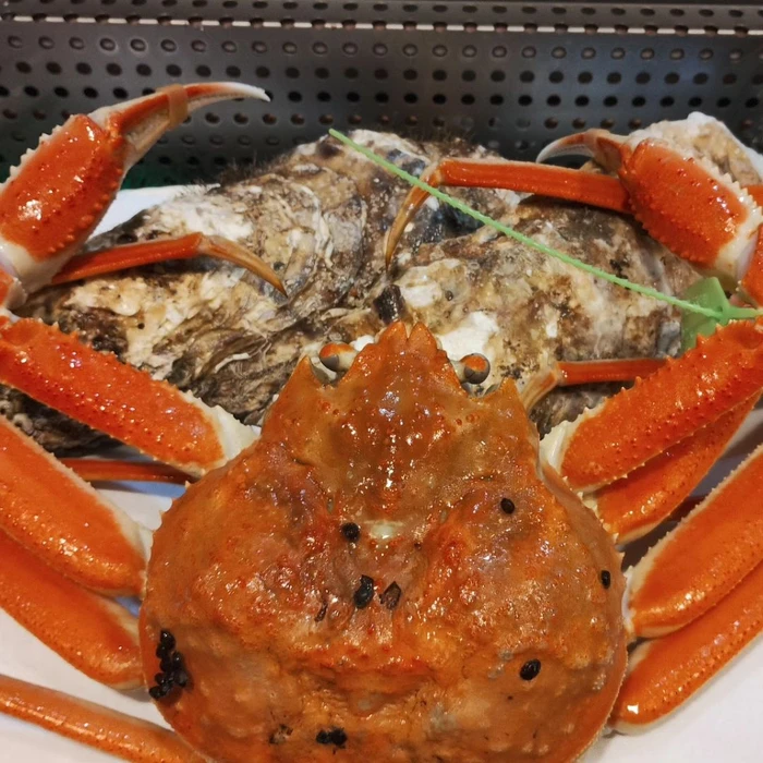 画像380