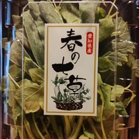 画像447