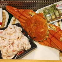 画像451