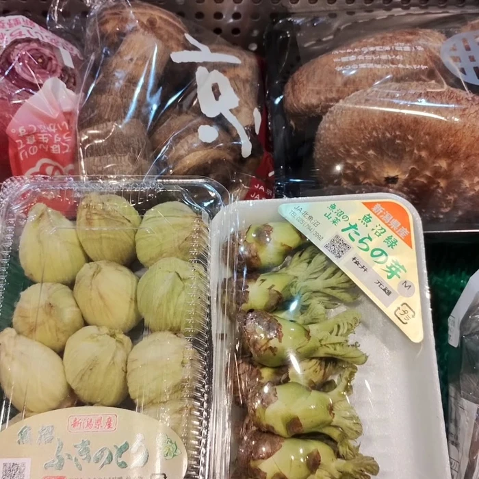 画像475