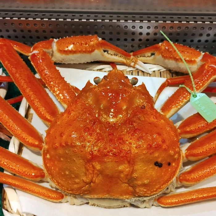 画像488