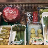 画像496