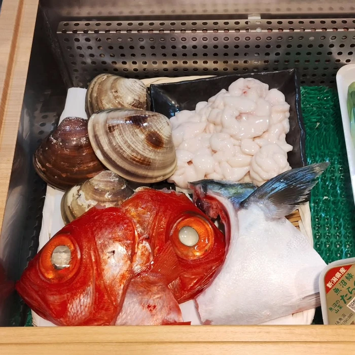 画像501