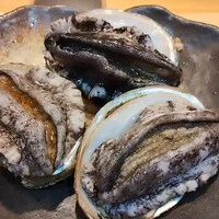 画像507