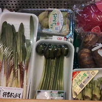 画像510