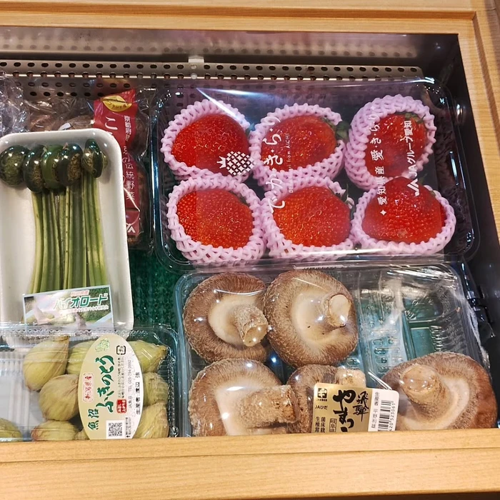 画像523