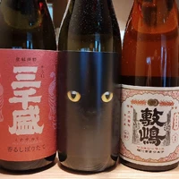 画像528
