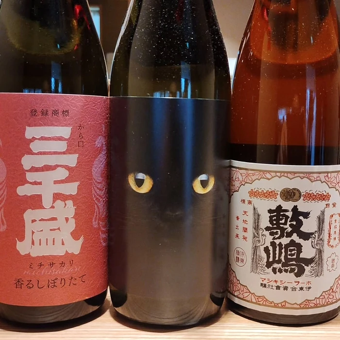 画像528