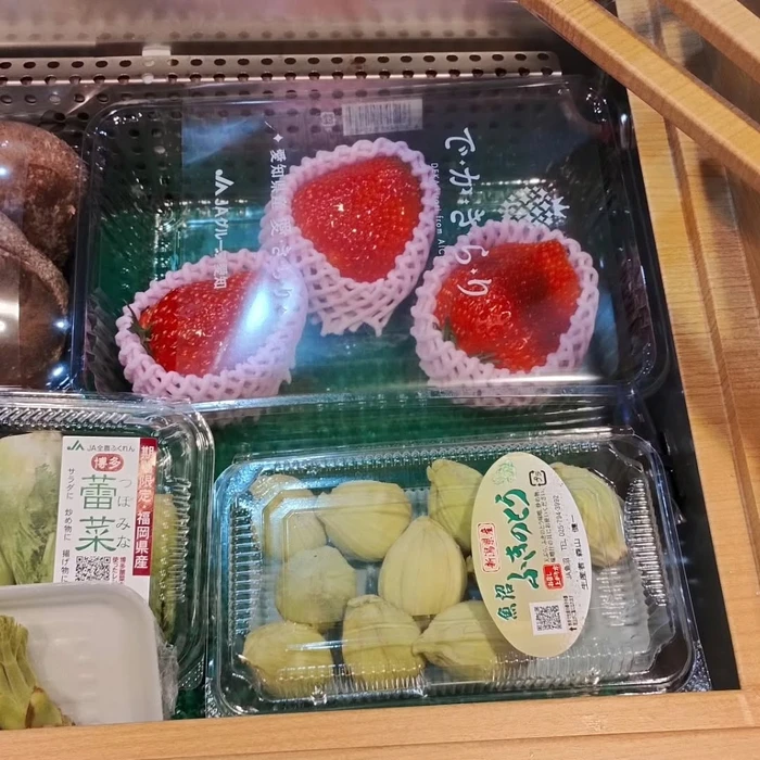 画像542
