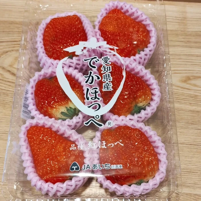 画像548