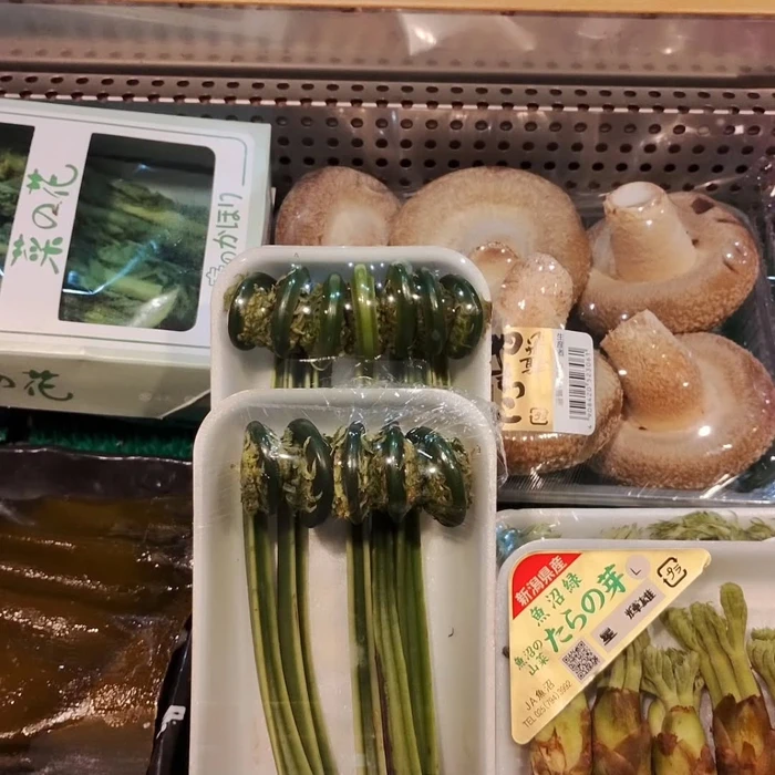 画像591