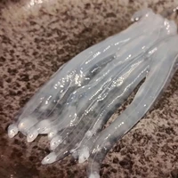 画像623