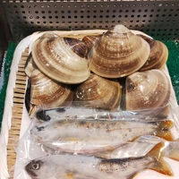 画像662