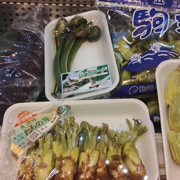 画像677