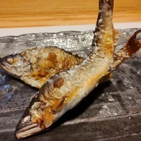 画像737